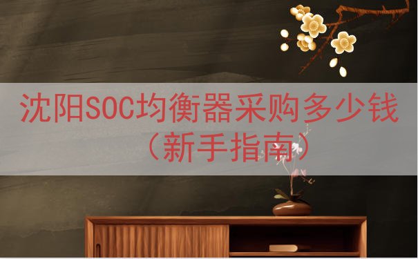 沈阳SOC均衡器采购多少钱（新手指南）